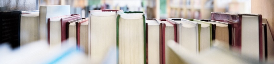 Library shelf full of books