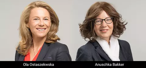 IBFD Deputy Directors