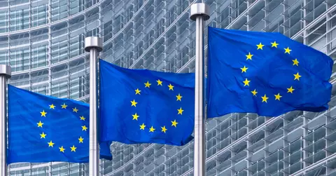 EU flags
