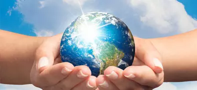 observatory protection taxpayers rights