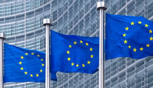 EU Flags