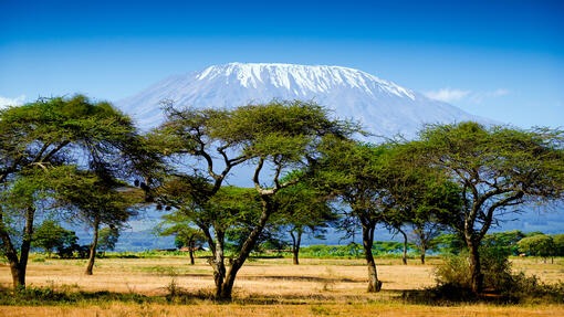 Mount Meru view