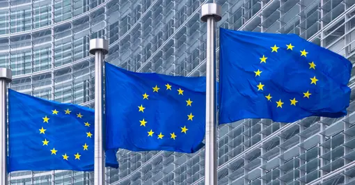 EU flags